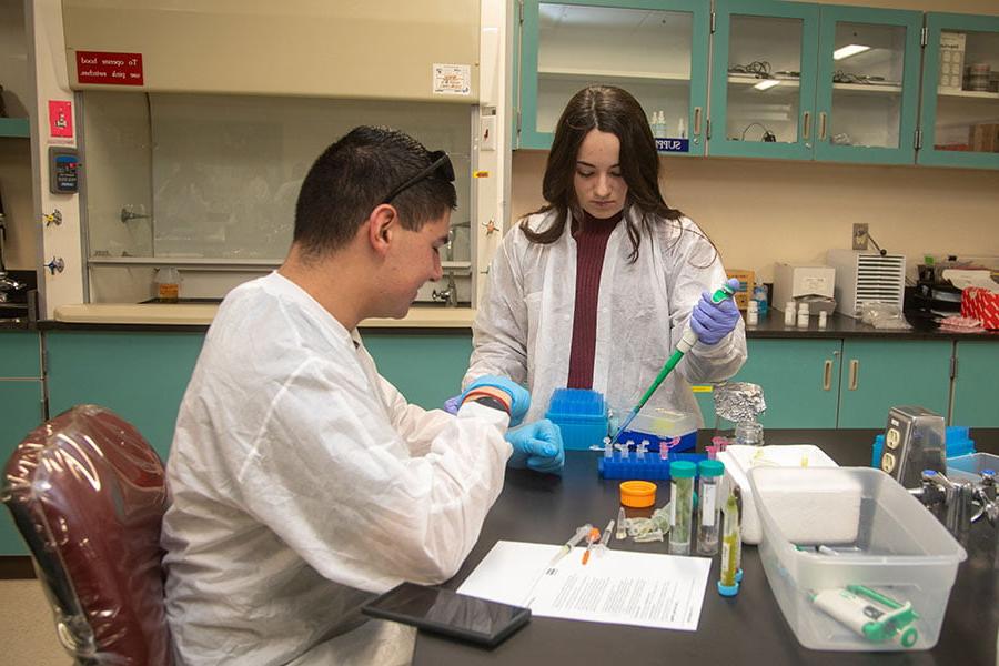 Student work together in medical lab class setting.